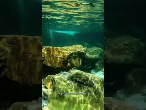 Poço da Juventude - Delfinópolis MG.Qual sua cidade em MG? Comente o nome dela.. INSCREVA-SE