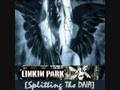 Linkin Park- Splitting The DNA- High Voltage 