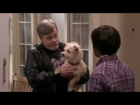 The Big Bang Theory 11x24 Finale - "That's Mark Hamill" - Mark Hamill Cameo on TBBT