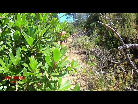 Homar Leuci hunterstrail Training outdoor