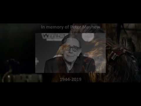 Sidekick - A tribute to Chewbacca (and Peter Mayhew)