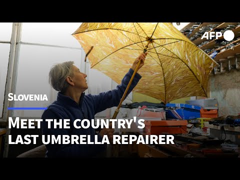 Have a broken umbrella? This Slovenian woman can fix it | AFP