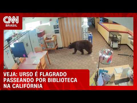 Vídeo: Urso é flagrado passeando por biblioteca na Califórnia | CNN NOVO DIA
