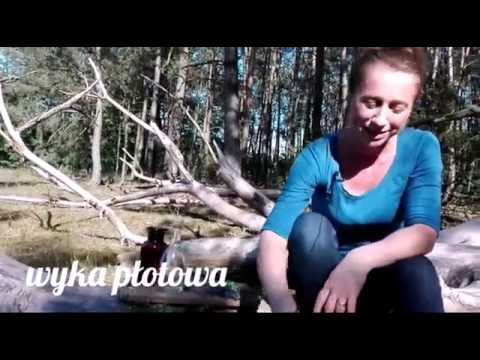 Maska do włosów zawierające witaminę A. Wszystko bude dobry szampon na wypadanie włosów