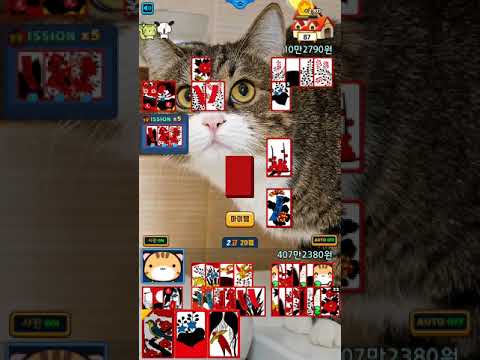 애니멀 맞고 : 고스톱 아쿠아 화투 Video