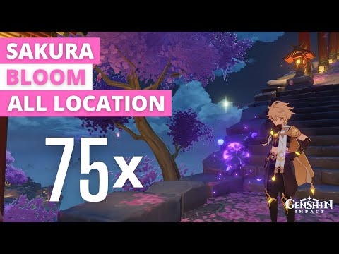 Genshin Impact 75x Sakura Bloom Location - Fast and Efficient - Detailed Map Included