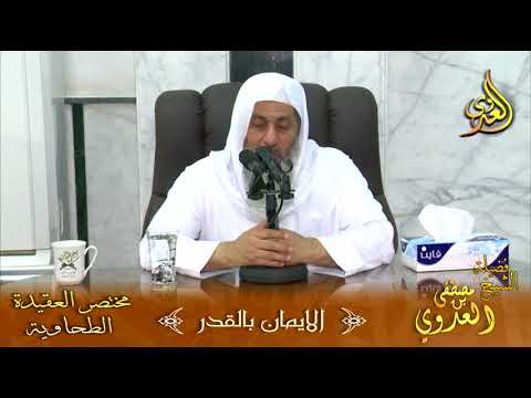  شرح مختصر العقيدة الطحاوية – الإيمان بالقدر – لفضيلة الشيخ مصطفى العدوي 