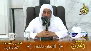 شرح مختصر العقيدة الطحاوية – الإيمان بالقدر – لفضيلة الشيخ مصطفى العدوي