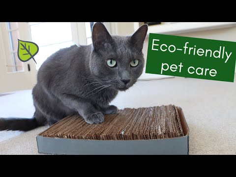 Eco-friendly Pet Care Guide / Zero Waste Tips