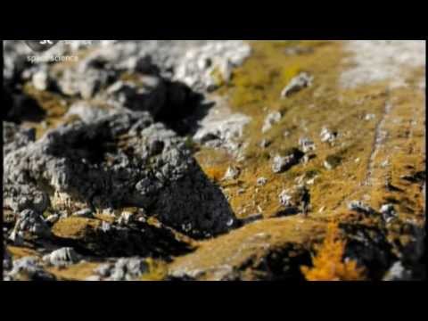 Stephen Hawking a szubjektív valóságról