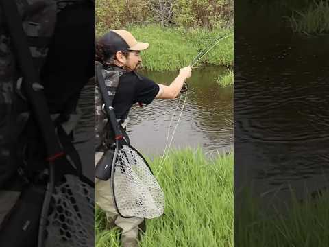 Pure joy to crying trout fishing