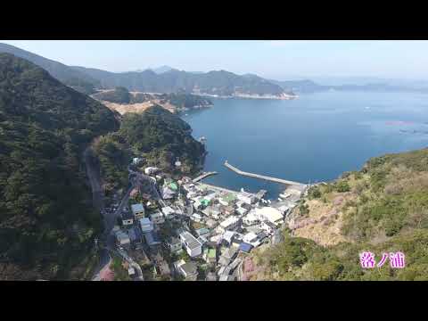 【公式】豊後水道河津桜まつり（3m12s　ロング版） Bungo Channel Kawazu Cherry Blossom Festival in Tsukumi