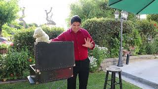 The Imaginators Magic Show