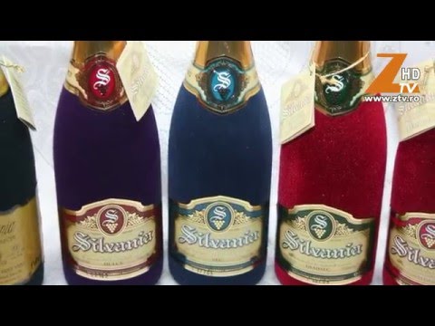 INVESTITII NOI LA CRAMA PODGORIA SILVANIA