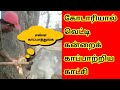 A Cow Rescue By The Cow Boy In India VIRAL VIDEO INTERESTING NEWS