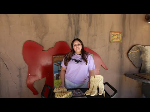 youtube embeded image