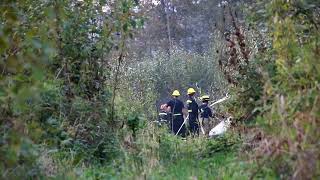 Burnaby 1st Alarm Brush Fire on Kensington