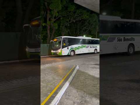 São Benedito na rodoviária! #shorts