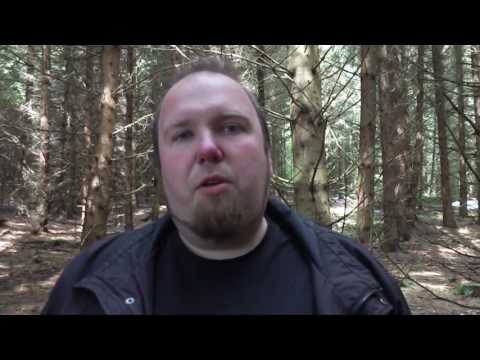 Vlog im Wald