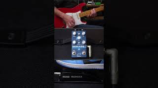 Video thumbnail for Hear the Crazy Tube Circuits Mirage Jr. Reverb in 40 Seconds! by Guitar Bonedo