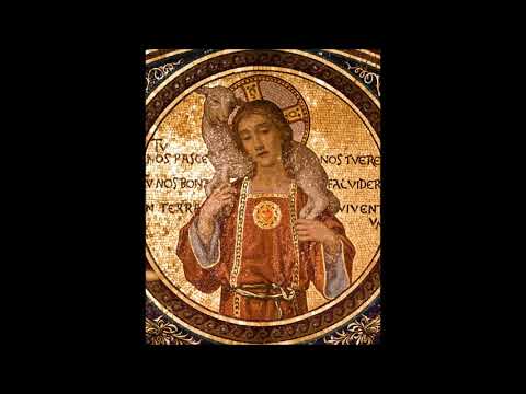 Dominica II Post Pascha - ALLELUIA 1