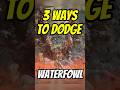 How To Dodge Malenia S Waterfowl Attack In ELDEN RING