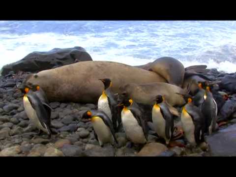 Zach Vincent Showreel: South Series Shoot