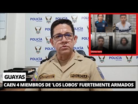 Capturan a temidos miembros de 'Los Lobos' fuertemente armados en Guayas