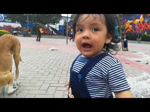 gemelos rodrigo y alonso