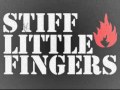Stiff Little Fingers - Forensic Evidence