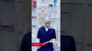 Experiences of Physical Therapy Students at Al-Mustaqbal University