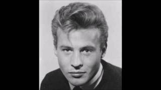 Babe, I'm Gonna Leave You  MARK WYNTER