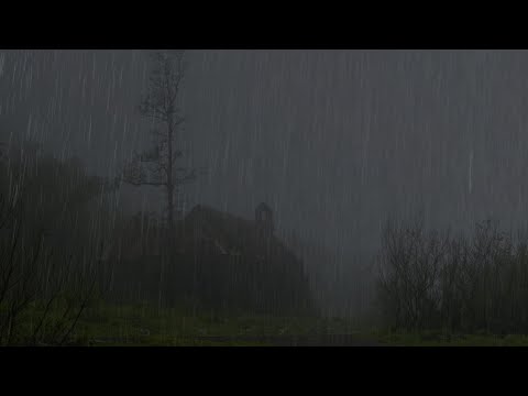Sleep soundly in 5 minutes with the sound of rain and thunder on the roof in the misty forest
