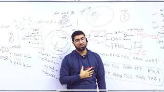 27 الدرس الخامس الهندسة الوراثية المحاضرة الأخيرة ️