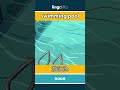swimming pool - 游泳池 video thumbnail