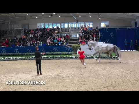 CHIO Aachen 2021 - Pauline Riedl GER - Technik