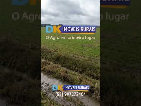 🚜 Arrendamento de Fazenda para Arroz no RS | Entre Alegrete e Rosário do Sul 🌾