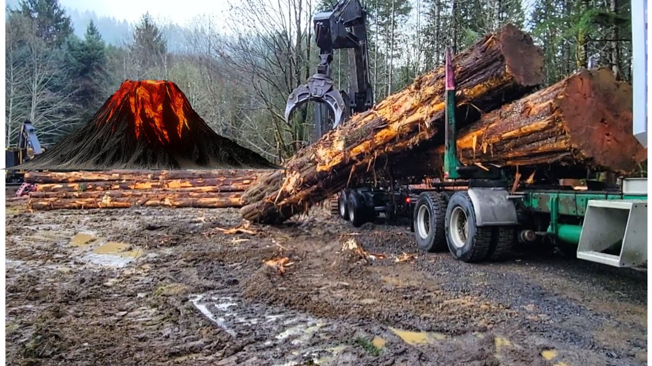Benefits of Industrial Machinery in Logging #machine #excavator #woodworking #farming #trending .