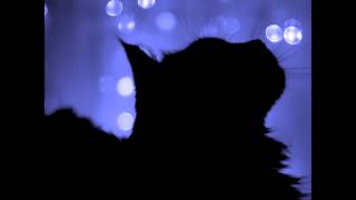 Ryuichi Sakamoto - Aoneko no Torso (dznt's edit)