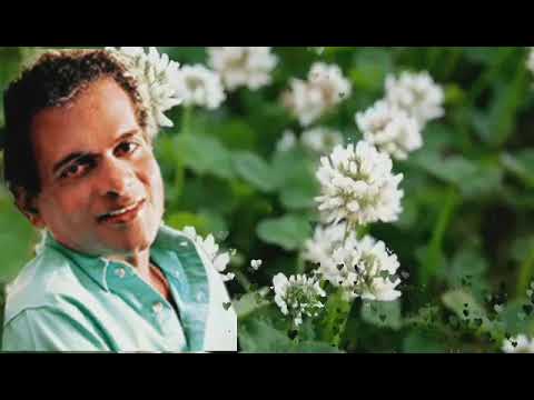 මිල්ටන් මල්ලවආරච්චි සීතල ලන පිණි මුතු පින්නේ