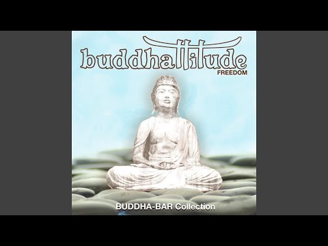 Midnight in Paradise