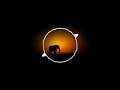 Animal Parade Remix 2021