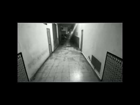 Syfe - Reflexiones [ONESHOT]