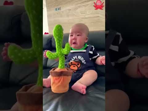 Hahaha haha 😂😂🤣🤣