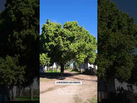 Video de YouTube - Chacra en Venta de 4 dormitorios  en Colonia Estrella, Colonia