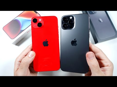 iPhone 14 Plus vs iPhone 13 Pro Max