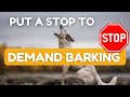 How To Stop Your Dog From Demand Barking