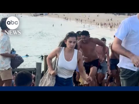 Suspects in Hanukkah celebration mass shooting in Australia identified