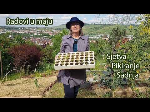 Radovi u maju / Sjetva, pikiranje, sadnja.../ Preko 20 vrsta povrća...