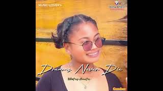 Dreams Never Die | Tiffany (Audio)